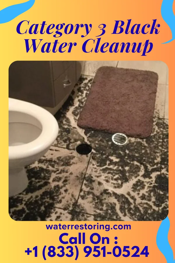 Category 3 Black Water Cleanup in Creola, AL